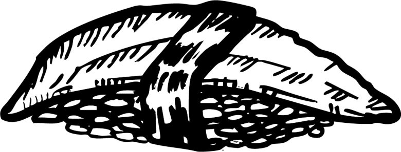 Line drawing of a sushi maki roll